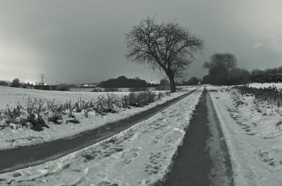 Douceur d'hivers_5238556871_l.jpg